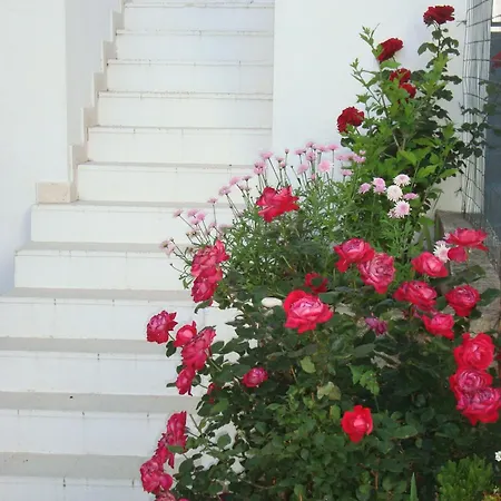 Iva Hvar Town
